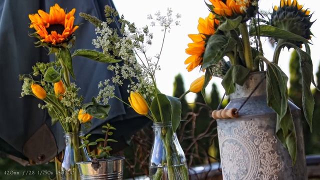 Canon 50d Sample Images | Beautiful Nature | смотреть онлайн