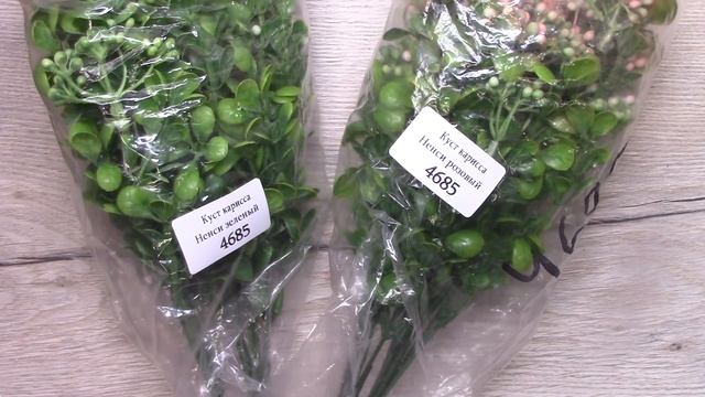?Обзор флоры?с Аглос?СП Наша Кладовочка? смотреть онлайн