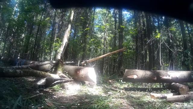 Как надо рубить топором. смотреть онлайн