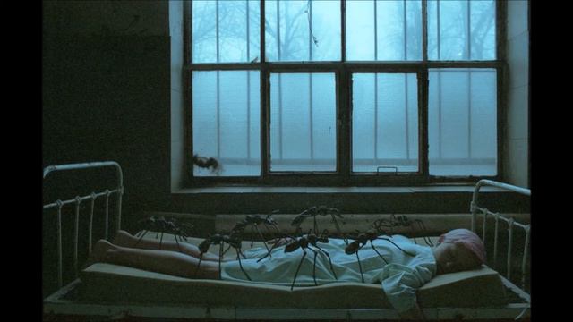 Laura Veirs - Shadow Blues смотреть онлайн