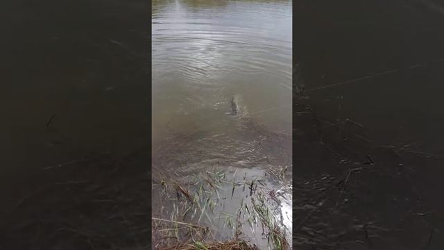 Озеро Монатка рыбалка на Щуку!!!!!!!