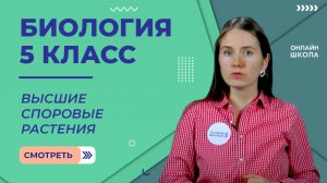 Высшие споровые растения. Видеоурок 24. Биология 5 класс
