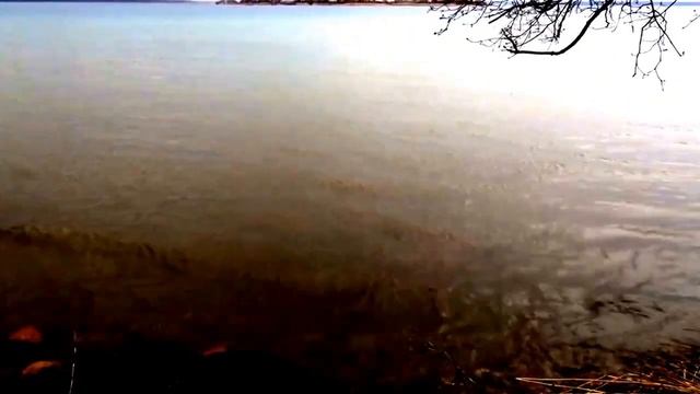 Нарочь 19 апреля 2016 (Naroch April 19, 2016) смотреть онлайн