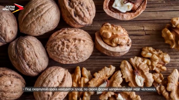 Æнгуз | Нысанта.mp4