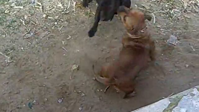 ecko & duna смотреть онлайн