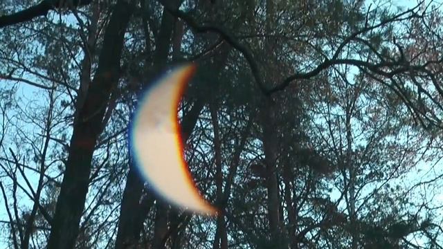 Умные сказки. Сергей Козлов "Если меня совсем нет" смотреть онлайн