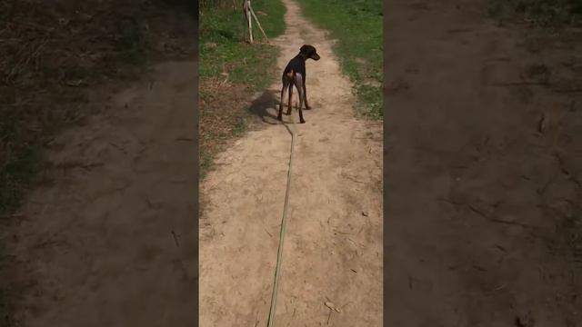 Мирон 2019.05.12-1 смотреть онлайн