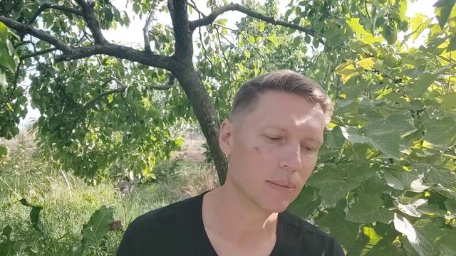 (46) "Знающий не спрашивает / 親者不問“. 100 Чаньских / Дзенских историй. смотреть онлайн