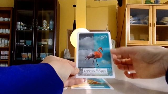 Healing Between your Masculine & Feminine and the Energy To Move Forward with your Dreams смотреть онлайн