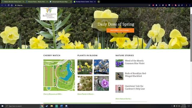 How to Visit Brooklyn Botanic Gardens Online смотреть онлайн