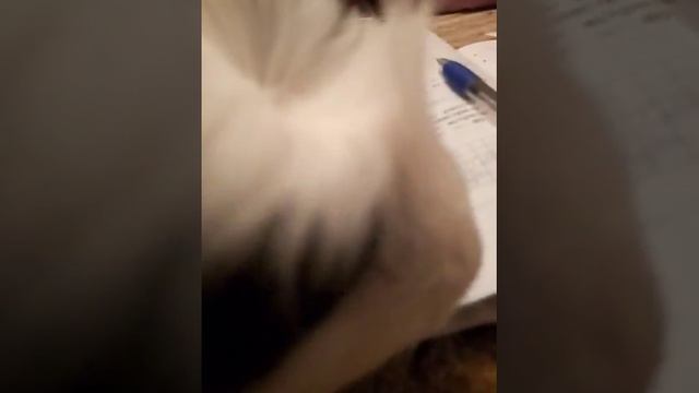 ФЛАФФИ, 15 ТОНН - СКОЛЬКО ЭТО ЦЕНТНЕРОВ? ??? смотреть онлайн