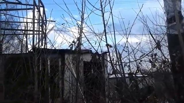 Подожгли сарай сволочи!!! часть 3 смотреть онлайн