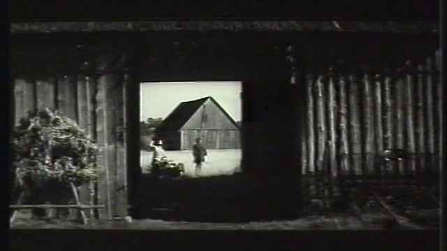 Беседы с мудрецами. Имант Зиедонис. Солнечный ритм.