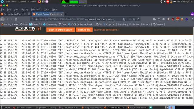 Cross-site WebSocket hijacking смотреть онлайн
