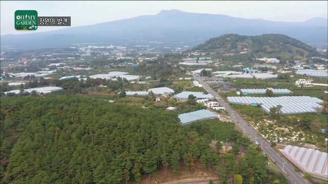 [ SUB ] 정원사진가 오다주 Charm Of The Winter Garden | 정원의 발견 Wonders Of Garden | KBS제주20221216방송