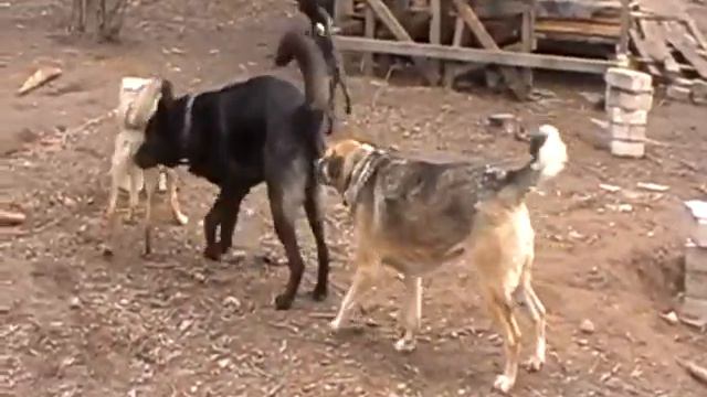 Блэк.СнС.апр.16г. смотреть онлайн