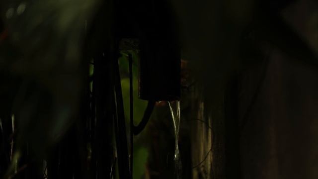 Fujifilm XT200 4K Sample video 2 смотреть онлайн