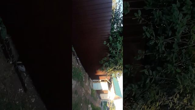 забор профлист RAL8017 (ПрофЗабор62)