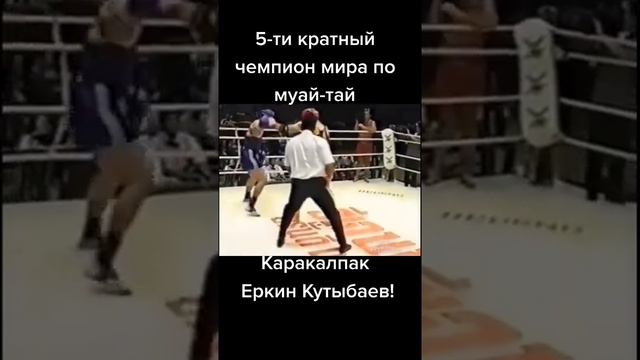МУАЙ ТАЙ бойынша 5 рет жахан чемпионын қолға кириткен Қарақалпақ жигити Еркин Қутыбаев смотреть онлайн