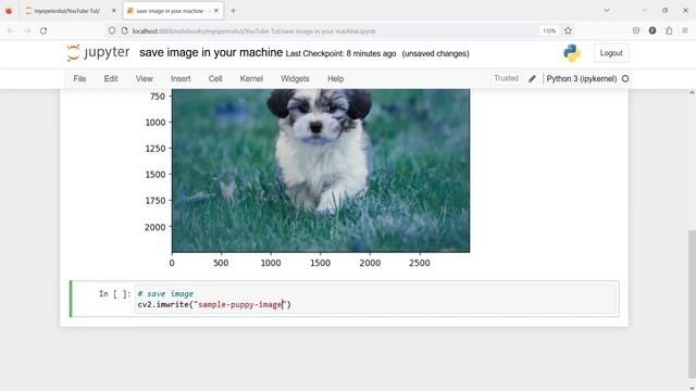OpenCV Tutorial For Beginners 6: Write / Save image in Machine | Python смотреть онлайн