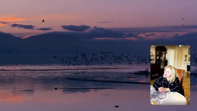 Стихотворенье " Два крыла" смотреть онлайн