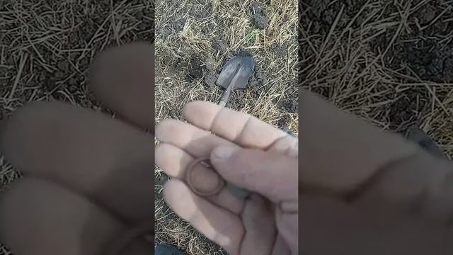 макс корж и золото смотреть онлайн