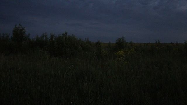 Canon EOS RP. Low Light Video Test. 4K. Белые ночи