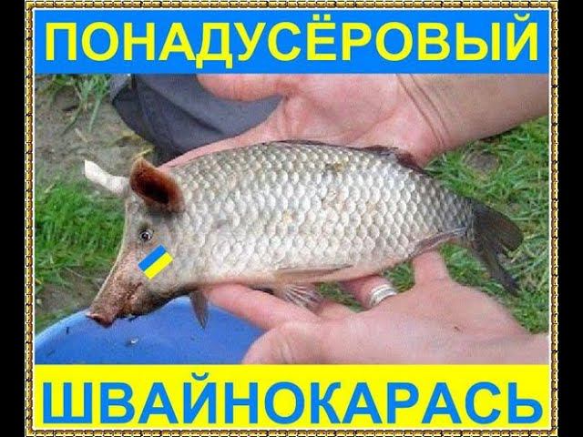 хiхлы смотреть онлайн