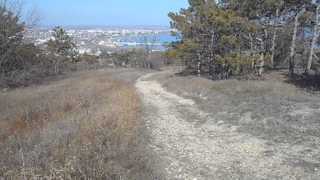 Крым. Феодосия. Заяц выходит в "атаку"! 1 марта 2020 года смотреть онлайн