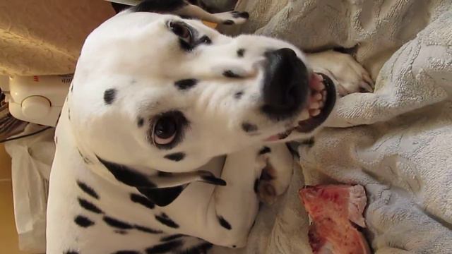 Изображение 444