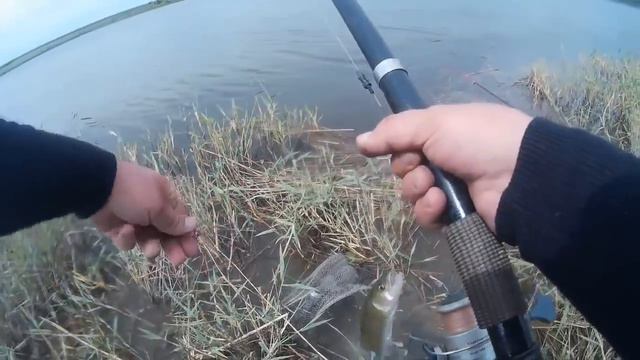 классная рыбалка Fishing смотреть онлайн