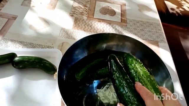 336?как сохранить собранные  огурцы подольше свежими