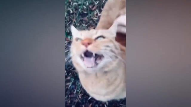 BEST CUBE COMPILATION № 5.mp4 смотреть онлайн