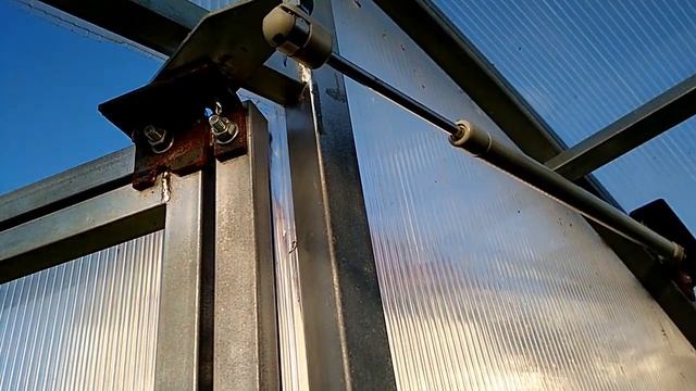 11 Августа фитофтора в теплице смотреть онлайн