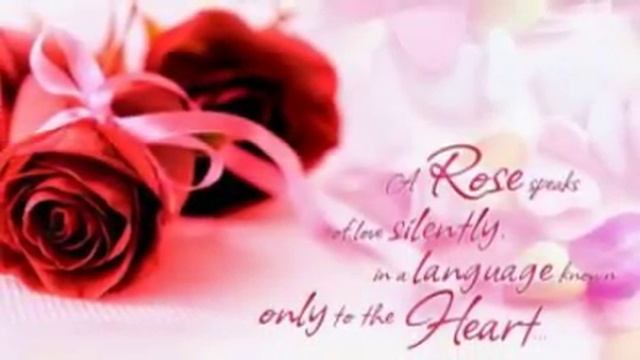 :) Valentines Day Quotes: Win the world in your own way - Awesome Play смотреть онлайн