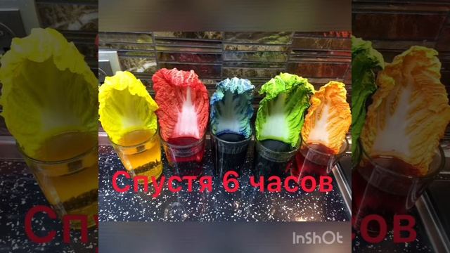 Опыт! Как растения пьют воду !!! Смотри, и повторяй !! смотреть онлайн