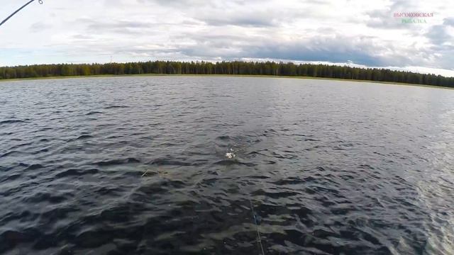 ловля щуки на колеблющуюся блесну. ловля щуки на колебалки смотреть онлайн