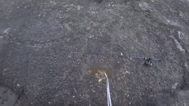 Рыбалка на Чёрном море.Май 2023#рыбалка #рыбалканачерномморе #rockfishing #туапсинскийрайон смотреть онлайн