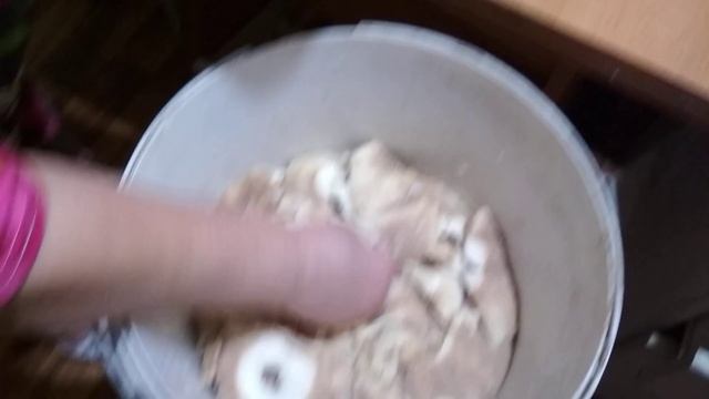 Анимационные Фильмы и Мультсериалы