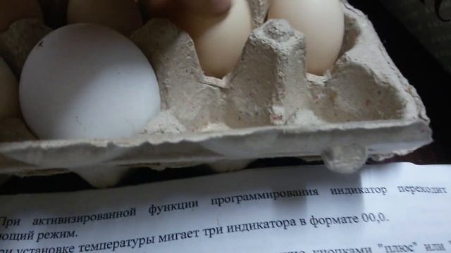 Овоскопирование куриных яиц и не только./ Ovoscopy of chicken eggs and more.