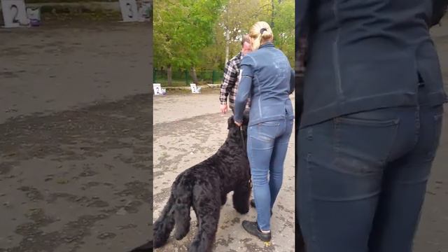 13 октября 2017 г.