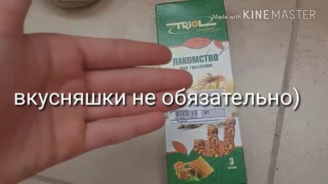 Что нужно для появления хомяка в доме + разговор о хомяках смотреть онлайн