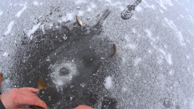 Рыбалка в Латгалии! На Рыбалку,для души!!! смотреть онлайн