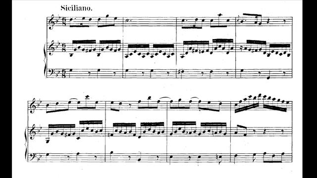 J. S. Bach, Siciliano (BWV 1031) With Score! Variando Musica