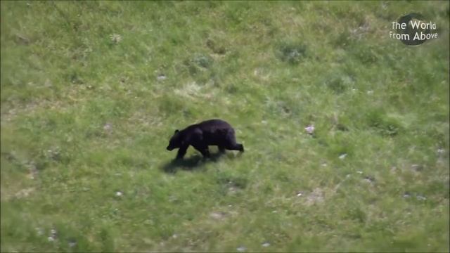 Национальный парк Йеллоустоун, США. Yellowstone National Park #1 смотреть онлайн