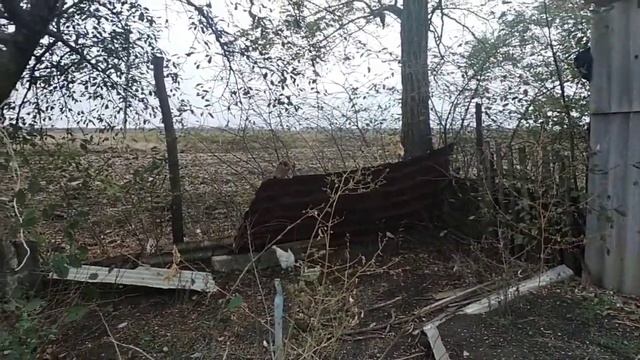 опять минус/перепутала дни смотреть онлайн