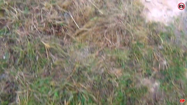 Благоустройство города за гуманитарную помощь. смотреть онлайн