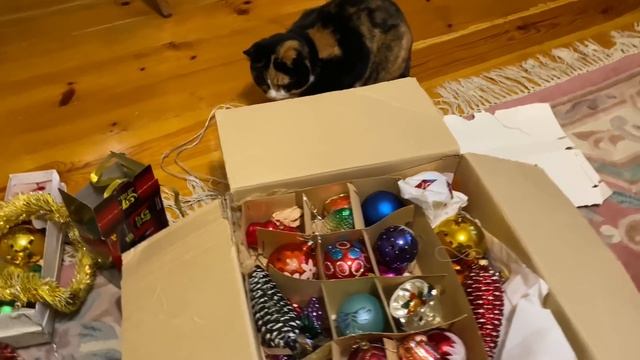 Дачная жизнь / готовлюсь к Новому году смотреть онлайн