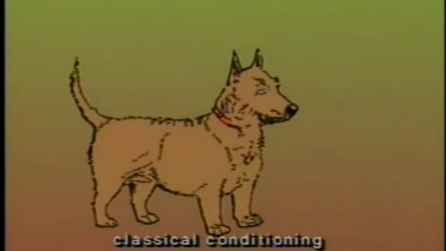 Classical Conditioning - Ivan Pavlov смотреть онлайн
