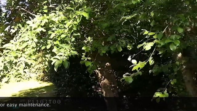 Squeezing A Hikvision DS 2DE2204IW DE3 PTZ Camera Inside A Garden Lantern
